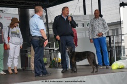 fotografie-31