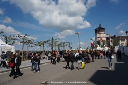 fotografie-33