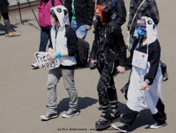 fotografie-16
