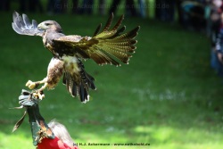 fotografie-24