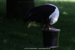 fotografie-1