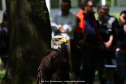 fotografie-4
