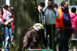 fotografie-10