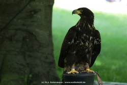fotografie-12
