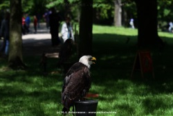 fotografie-14