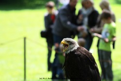 fotografie-21