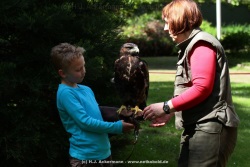 fotografie-11