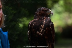 fotografie-12