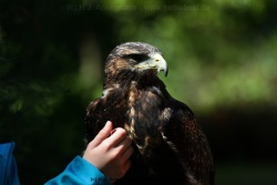 fotografie-15