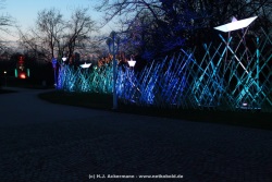 fotografie-83