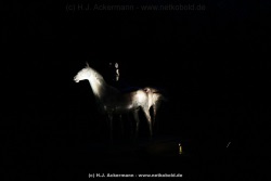 fotografie-126