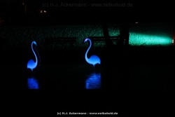 fotografie-53