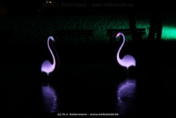 fotografie-18