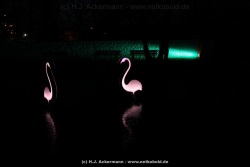 fotografie-180