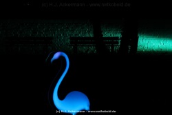 fotografie-59