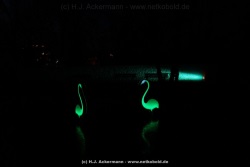 fotografie-144