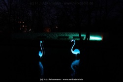 fotografie-28