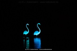 fotografie-39
