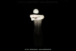 fotografie-27