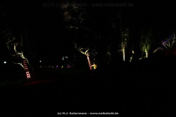 fotografie-66