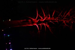 fotografie-40