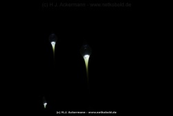 fotografie-121