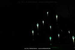 fotografie-14