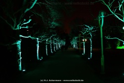fotografie-10
