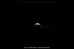 fotografie-58