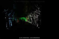 fotografie-42
