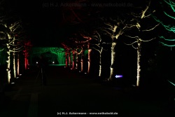 fotografie-181
