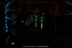 fotografie-153