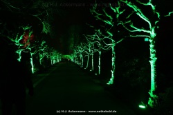 fotografie-44