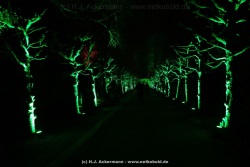 fotografie-34