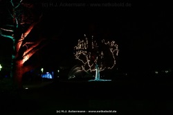 fotografie-54