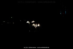 fotografie-32