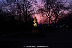 fotografie-78