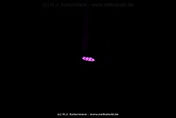 fotografie-113