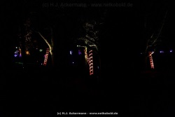 fotografie-13