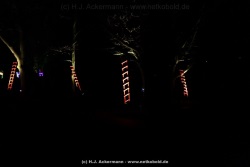 fotografie-87