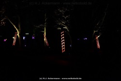 fotografie-183