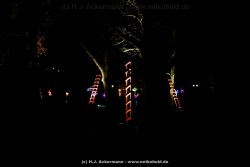 fotografie-155