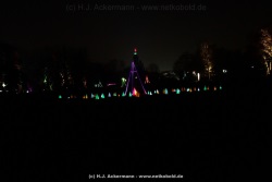 fotografie-17