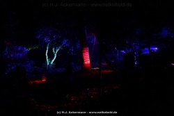 fotografie-169
