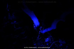 fotografie-49