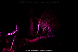 fotografie-26