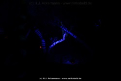 fotografie-61