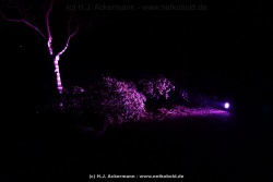 fotografie-168