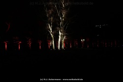 fotografie-186