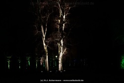 fotografie-146